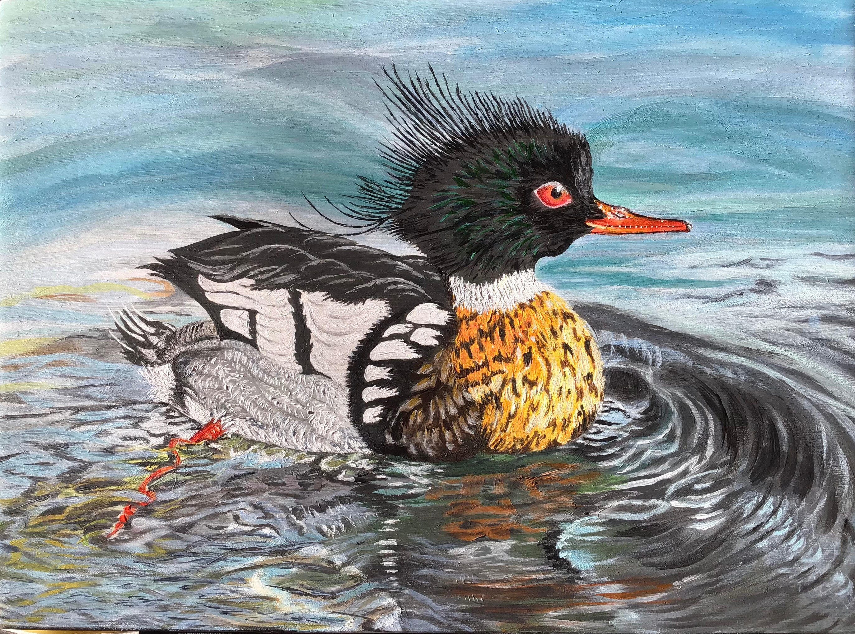 Red-breasted Merganser £380