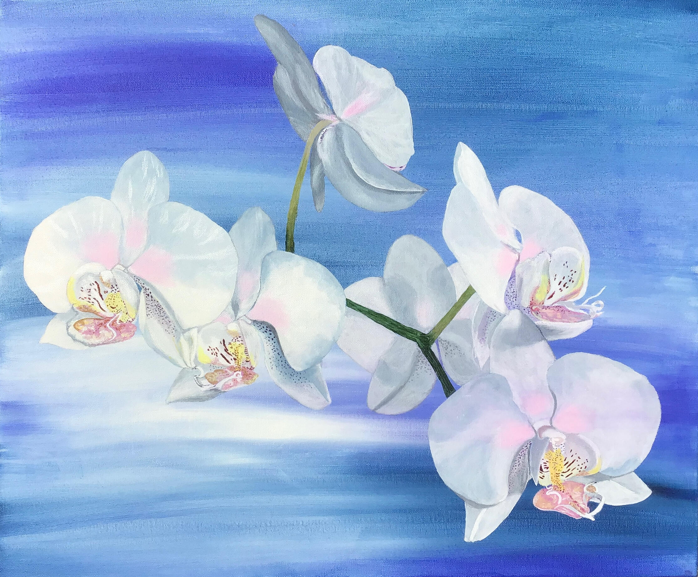 Enchanting Orchids £300