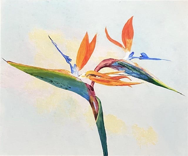 Paradise Flower £85
