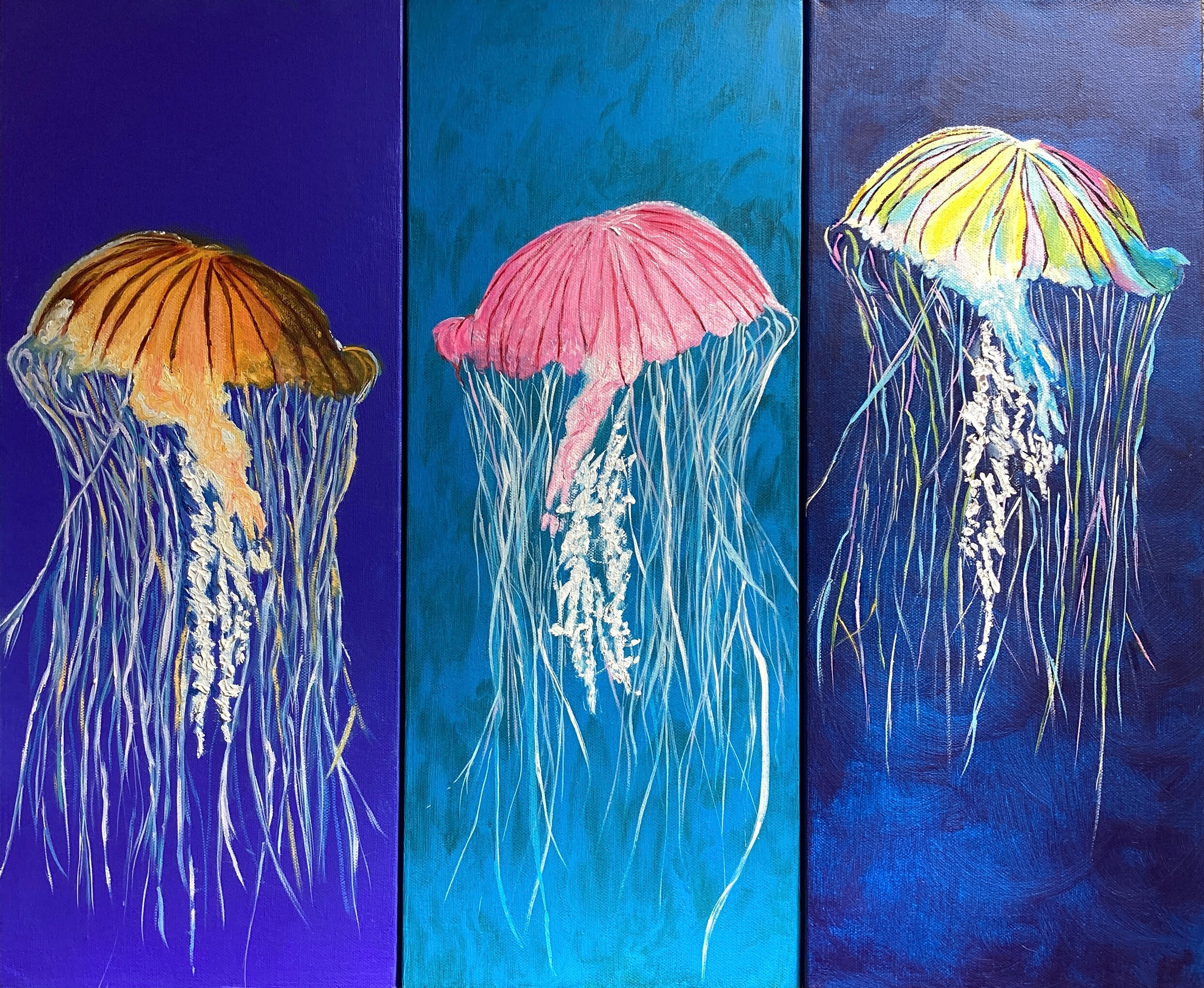 Rainbow jellies £150